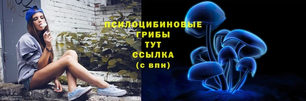 а пвп мука Абдулино