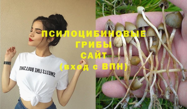 а пвп мука Абдулино